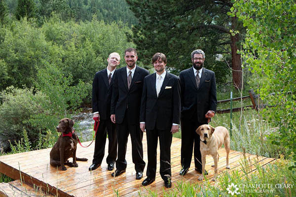 Groomsmen with dog ring bearers