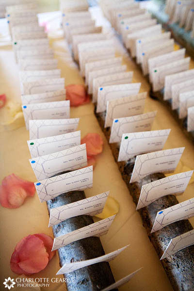 Wedding escort cards displayed on aspen logs