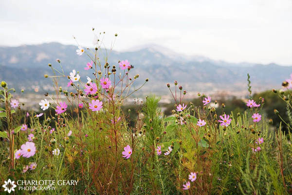 Hillside Gardens in Colorado Springs, Colorado